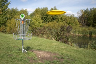 Frisbee Golf Target with Disc