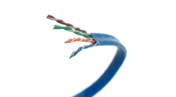 Kabel sieciowy kategorii 6 zakrzywione — Zdjęcie stockowe