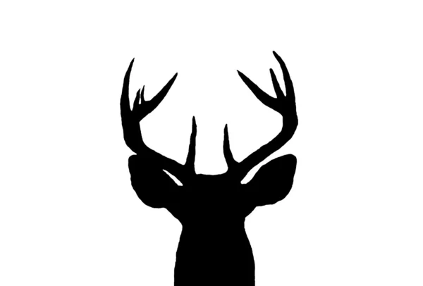 Whitetail 鹿バック シルエット — ストック写真