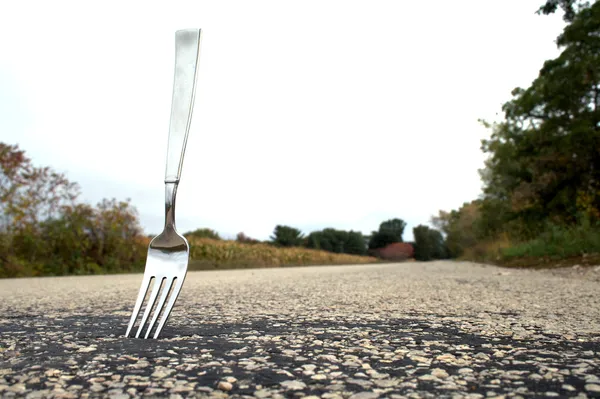 Fork in the Road Stock Photo