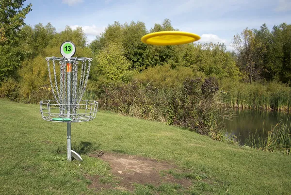 Frisbee golf målet med skiva Stockbild