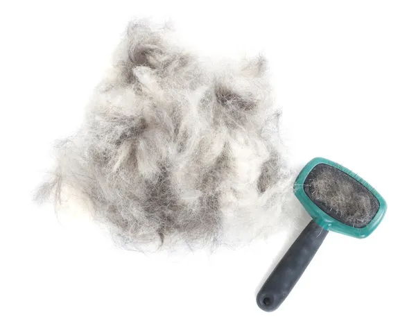 Dog Grooming Brush and Hair — Stock Photo, Image