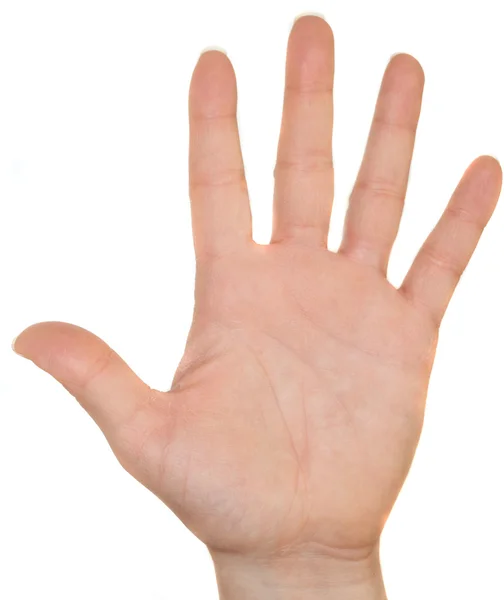 ASL sayı 5 — Stok fotoğraf