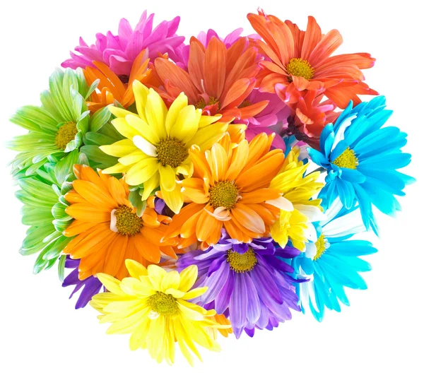 Stock image Vibrant Multicolored Daisy Bouquet