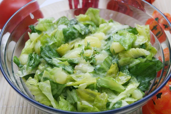 Verse Groene Salade Met Aardappel Stockfoto