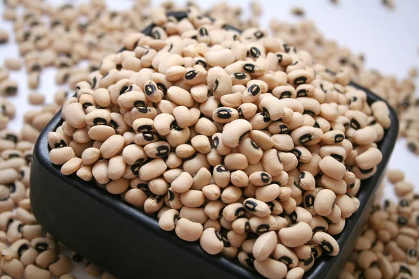 Eye-beans — Stock fotografie