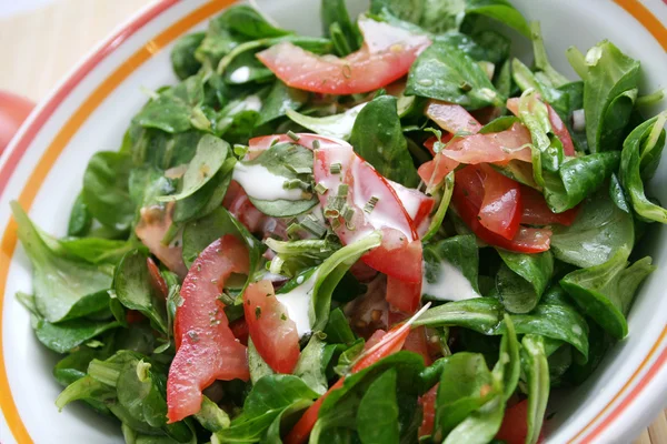 Salada Verde Fresca Com Tomate — Fotografia de Stock