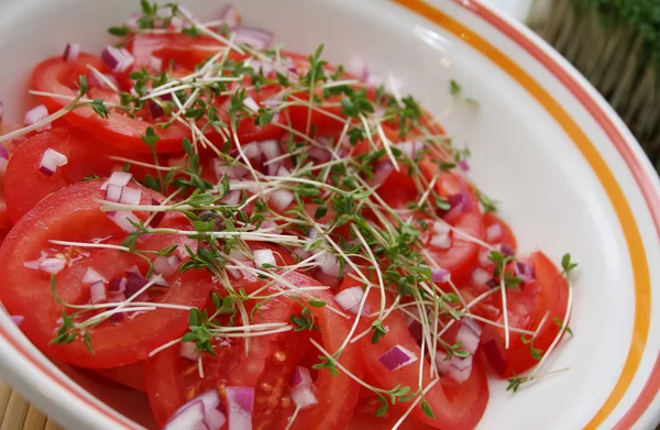 Salada Fresca Tomates Boliche Imagem De Stock