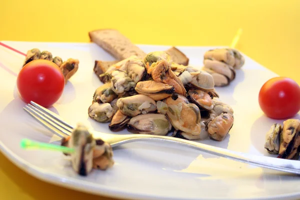 stock image Mussels