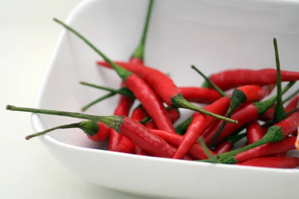 stock image Chili