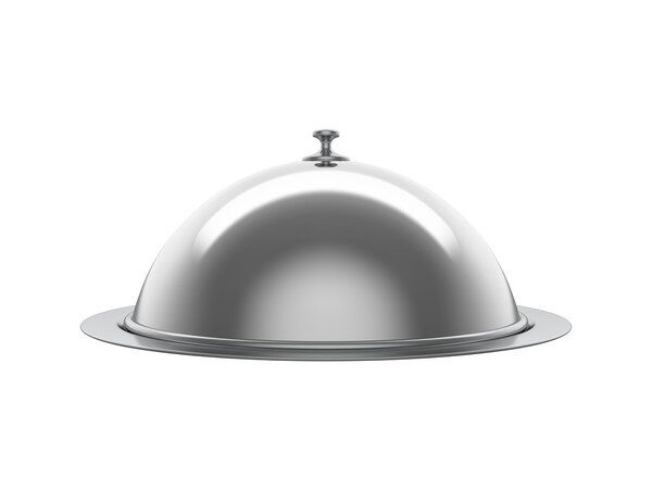 Silver tray for food