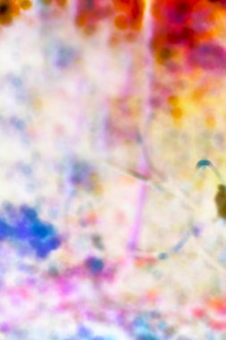 renkli bulanık arka plan