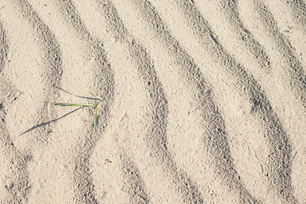 Ondas de areia com grama verde — Fotografia de Stock
