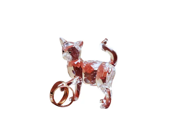 Crystal cat with two wedding rings — Stock Photo, Image
