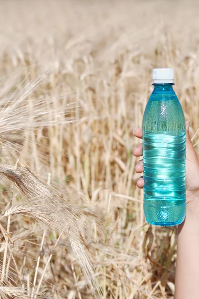 परिपक्व गहू विरुद्ध पाणी हाताने बाटली — स्टॉक फोटो, इमेज