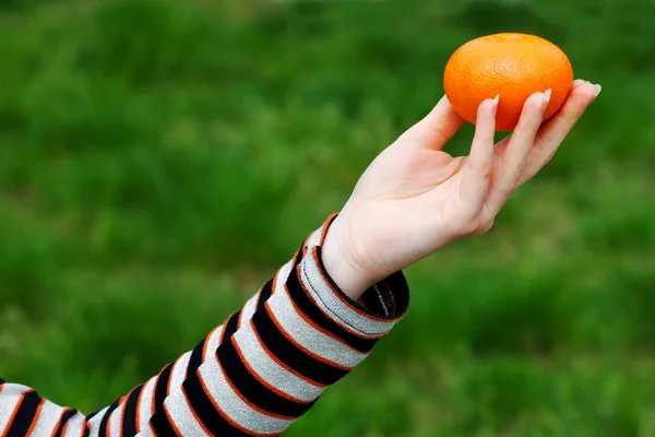 Mão oferecendo mandarina laranja — Fotografia de Stock