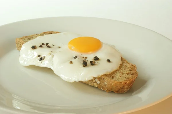 One organic fried egg on wheaten bread — Stock Photo, Image