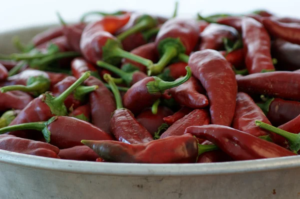 Biologische rode chili — Stockfoto