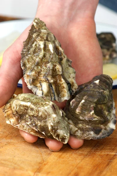 Raw organic oyster — Stock Photo, Image