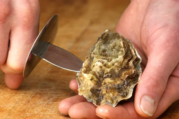 One raw organic oyster — Stock Photo, Image