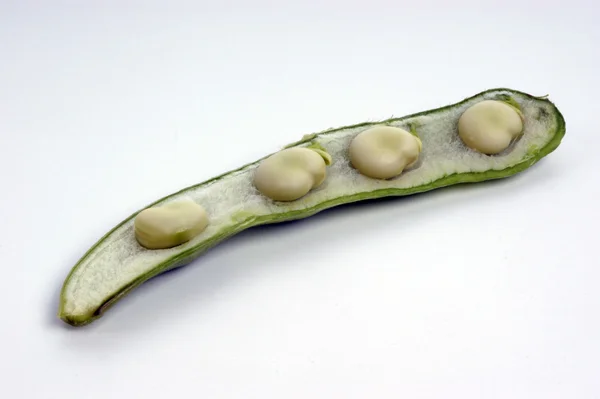 Organic broad beans — Stock Photo, Image