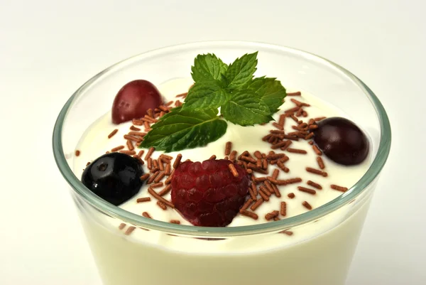 Organic yoghurt and wild fruits — Stock Photo, Image