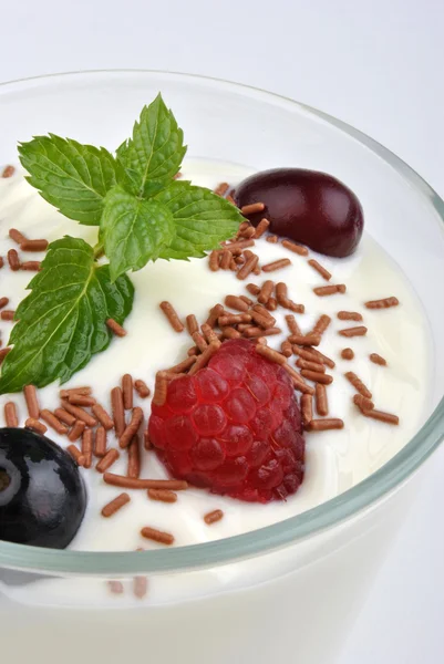 Yogurt naturale biologico fresco — Foto Stock
