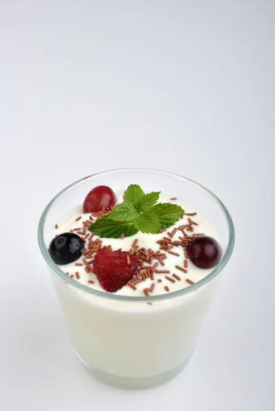 Yogurt naturale e frutti selvatici — Foto Stock