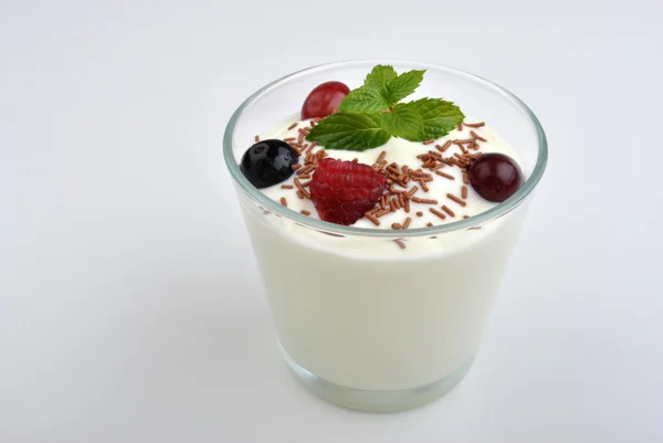 Verse aard yoghurt en wilde vruchten — Stockfoto