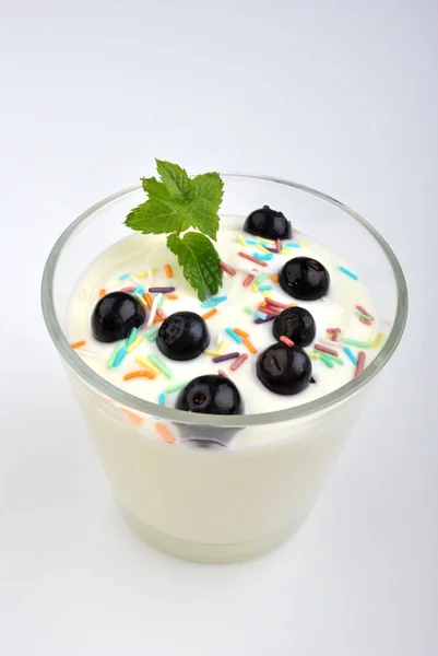 Yogurt naturale biologico fresco — Foto Stock