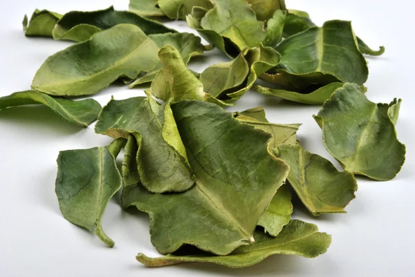 Organic kaffir lime leaves — Stock Photo, Image