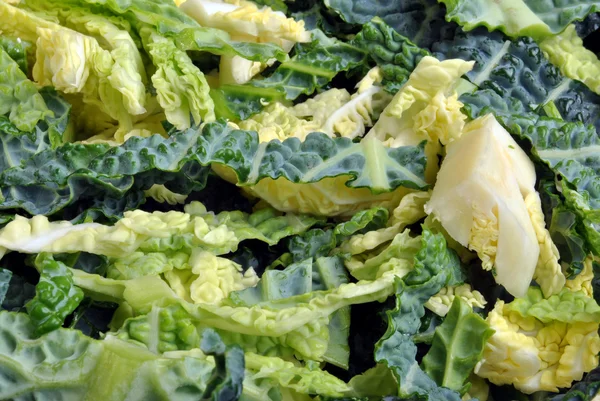 Col salada sana y fresca —  Fotos de Stock