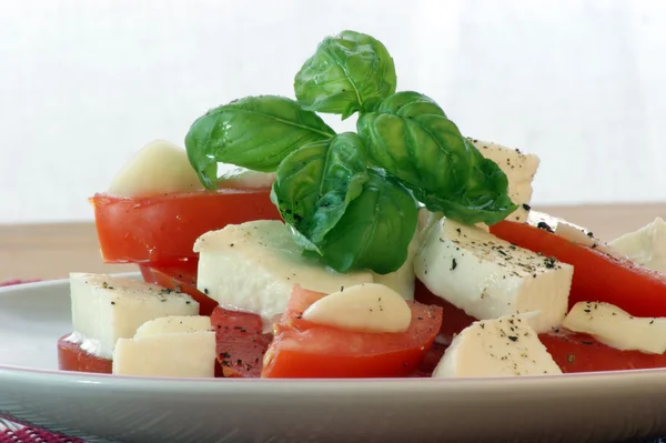 Delicious mozzarella salad Stock Image