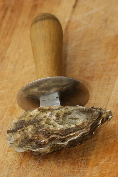 One raw organic oyster Royalty Free Stock Images