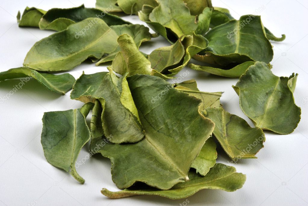 Organic kaffir lime leaves