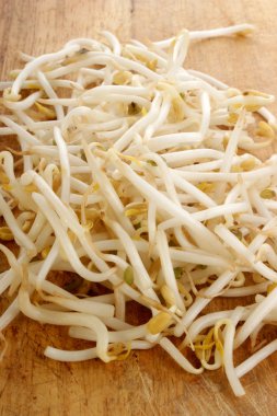 bazı organik beansprouts