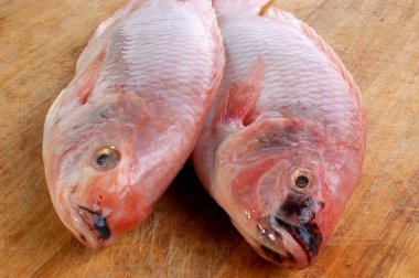 iki taze organik Afrika tilapia