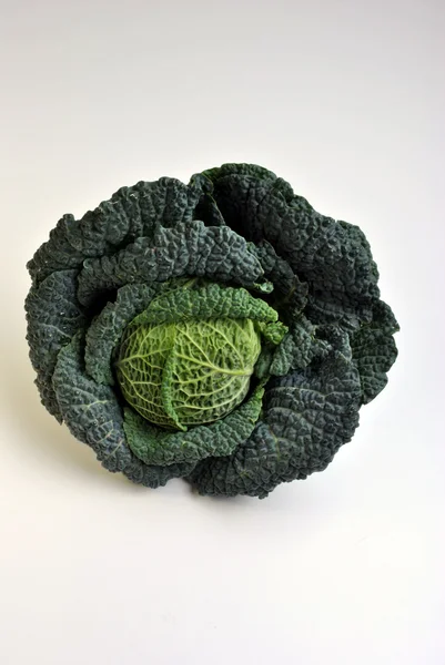 Organic savoy cabbage — Stock Photo, Image
