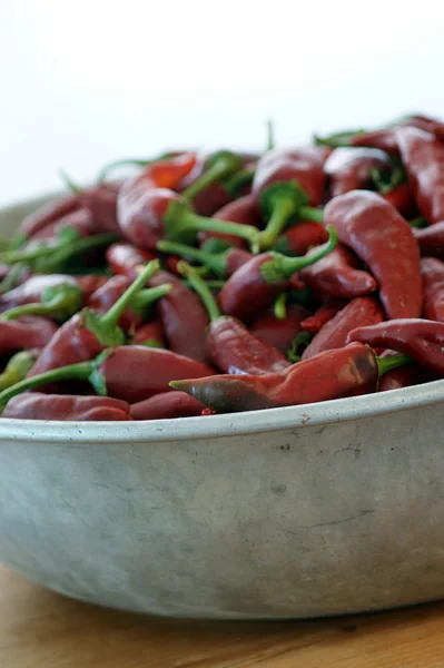 Organic red chili — Stock Photo, Image