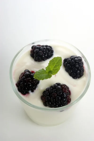 Blackberry in yogurt and mint — Stock Photo, Image