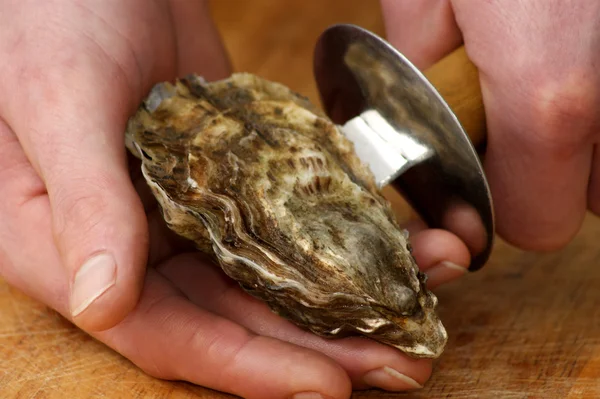 How to open one raw organic oyster — Stock Photo, Image