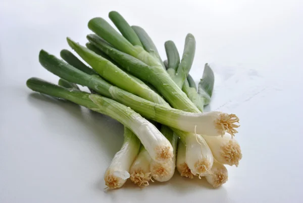 Cebolla de primavera orgánica —  Fotos de Stock