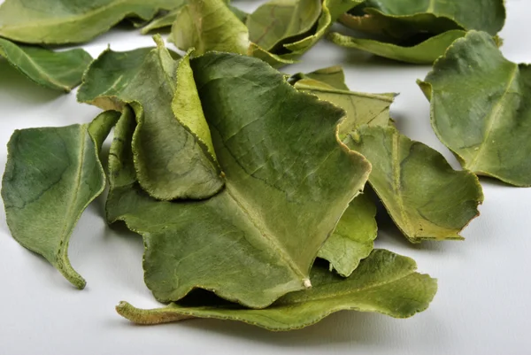 Folhas de limão kaffir orgânicas — Fotografia de Stock