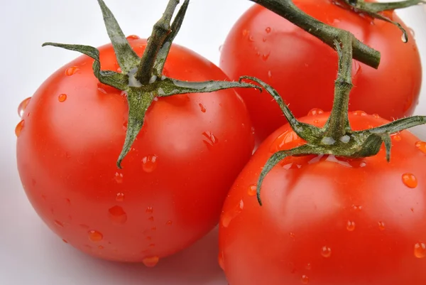 Tomate orgânico — Fotografia de Stock