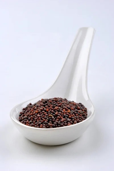 Brown mustard seeds — Stock Photo, Image
