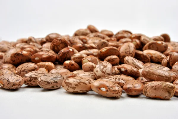 Organic pinto beans — Stock Photo, Image
