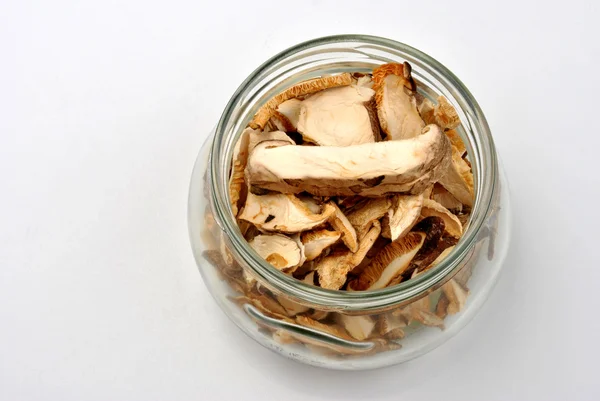 Dried wild shiitake mushroom — Stock Photo, Image