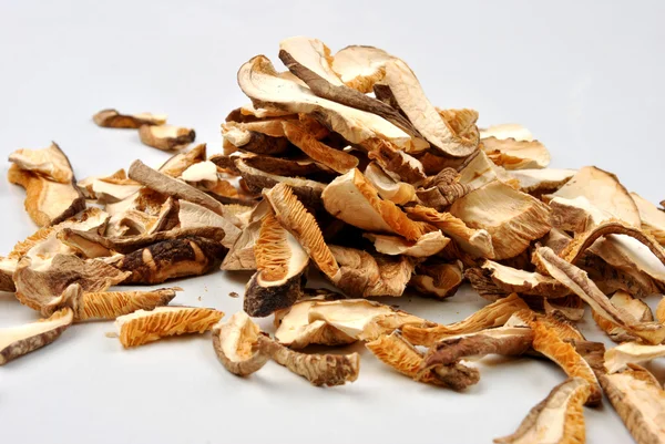 Dried wild shiitake mushroom — Stock Photo, Image