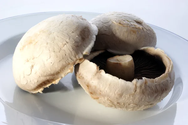 Grande piatto fungo biologico — Foto Stock