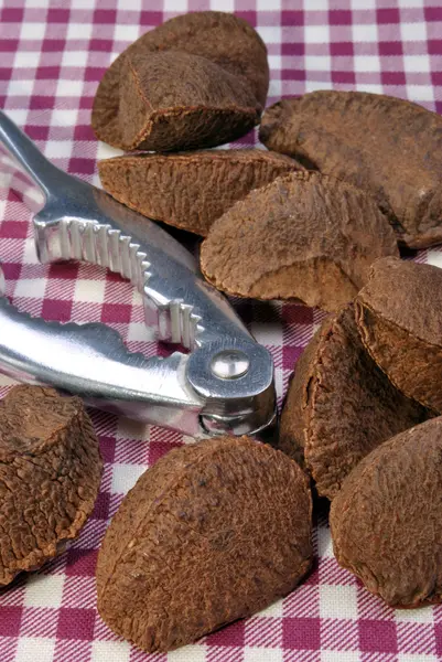 Органические бразильские орехи — стоковое фото